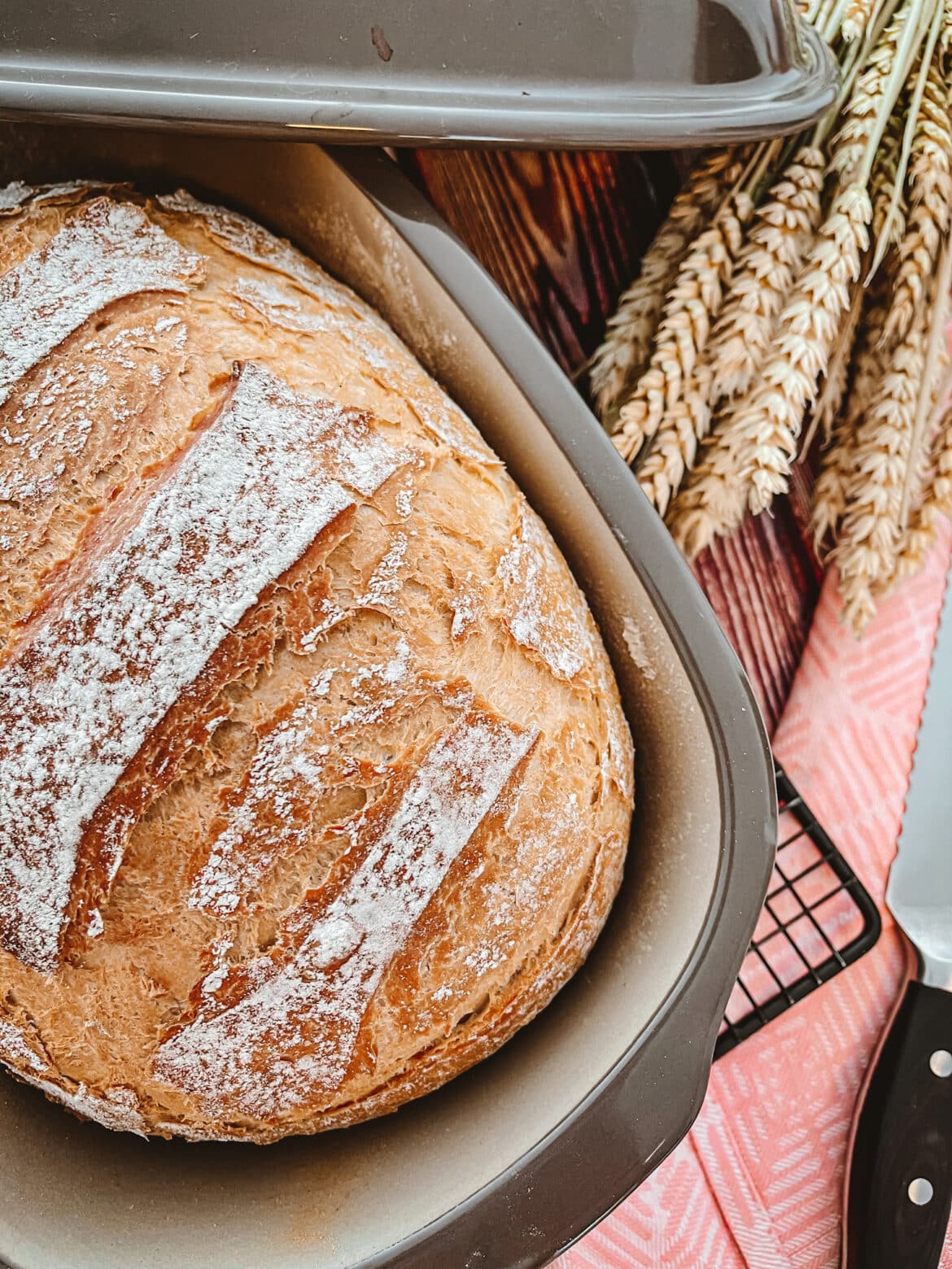 So backst du Dein perfektes Brot im Ofenmeister ineskocht.de
